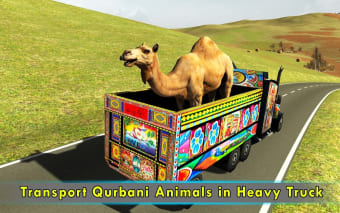 Pk Eid Animal Transport Truck