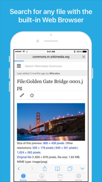 Files - File Manager  Browser