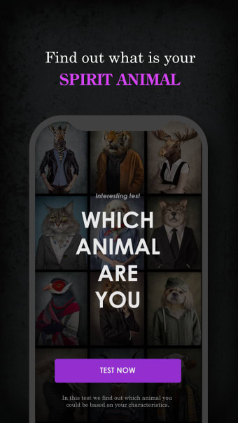 Which Animal Are You - Personality Test