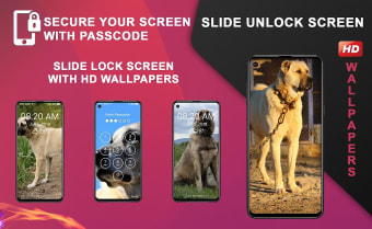 Kangal Dog HD Wallpapers Lock Screen