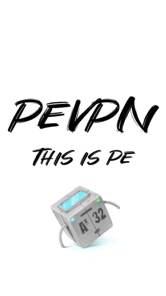 PE VPN