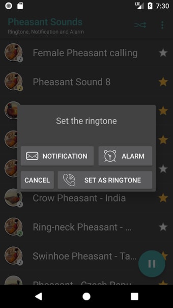 Appp.io - Pheasant Sounds
