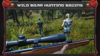 Wild Hunt - Pig Sniper Shooting