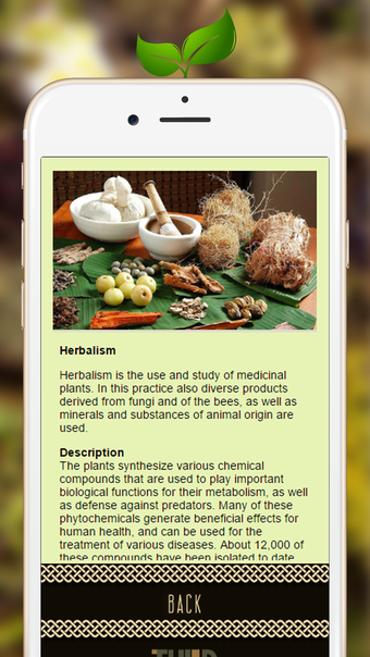 Wicca Herbalism