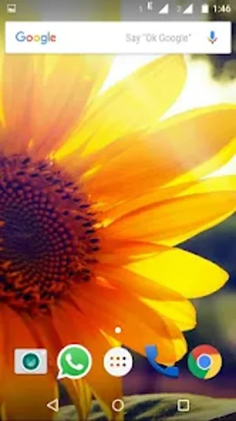 Android için Sunflower Wallpaper HD - İndir