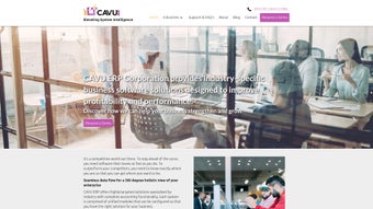 Imagen 0 para CAVU ERP