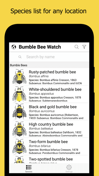 Bumble Bee Watch
