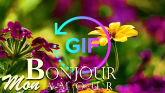 Good morning Gif French wishes