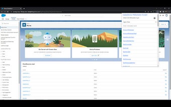 Salesforce Metadata Finder