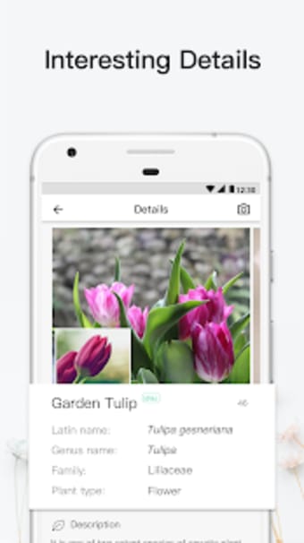 PictureThis: Identify Plant Flower Weed and More