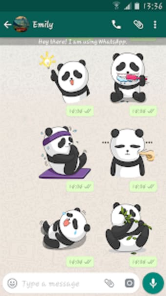 Panda Stickers Packs For Whatsapp - WASticker