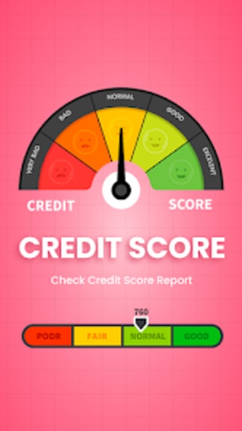 Check Credit Score and Report
