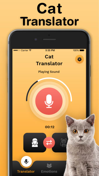 Cat Translator