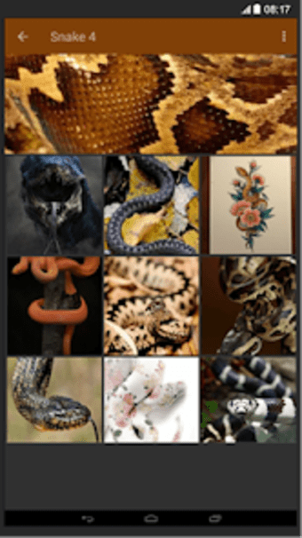 Snake Wallpaper