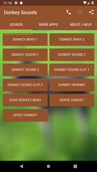 Donkey Sounds