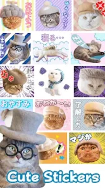 Cats Hair Hats Stickers