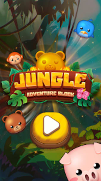 Jungle Adventure Block