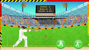 Cricket - Defend the Wicket