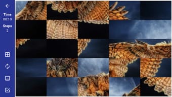 Tile Puzzle: beautiful birds