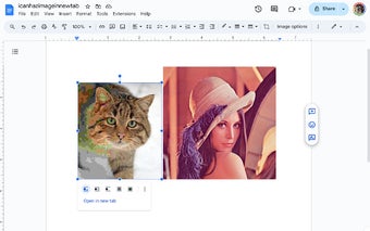 Google Docs Image Opener Extension