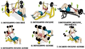 Chest exercises workout
