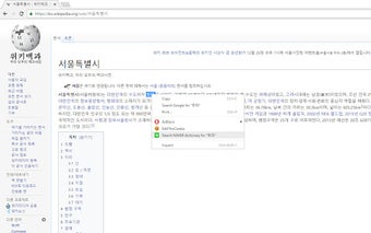 NAVER Dictionary - Right Click Context Menu