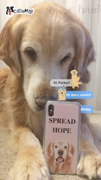 ParkerMoji - Golden retriever Emojis  Dog Sticker
