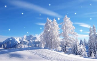 Winter. Live Wallpapers