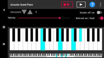 Simple piano with recorder