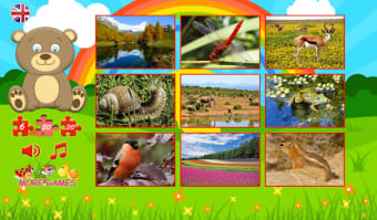 Puzzles for kids: nature