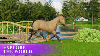 Horse Simulator 3D Animal Care