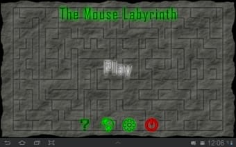 The Mouse Labyrinth