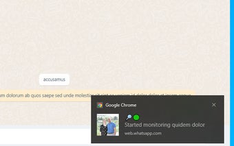 WhatsApp - Online Monitor