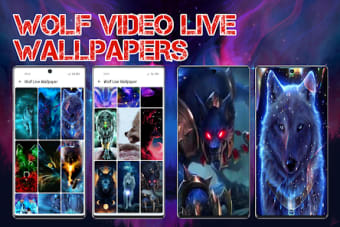Wolf Video Live Wallpaper HD
