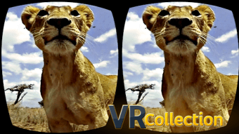 Pack of VR videos