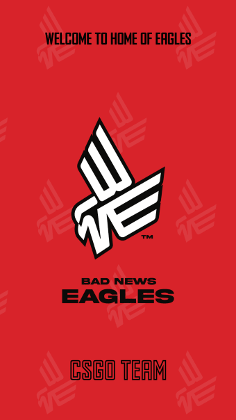 BAD NEWS EAGLES