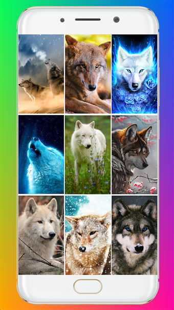 Wolf Wallpaper HD APK for Android - Download