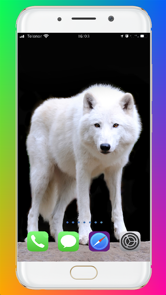 Wolf Wallpaper HD APK for Android - Download
