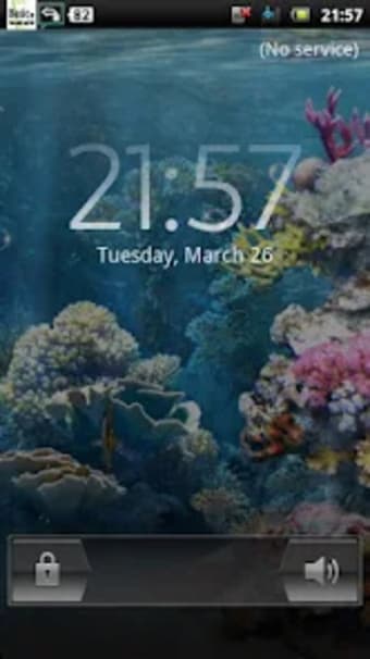 coral reef live wallpaper