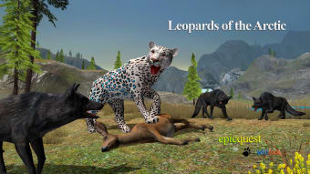 Leopards of the Arctic
