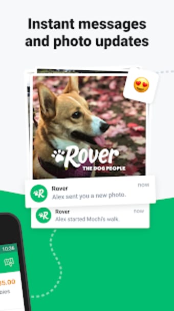 Rover - Dog Boarding  Walking