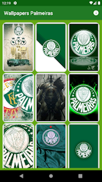 Wallpapers Palmeiras - Verdão