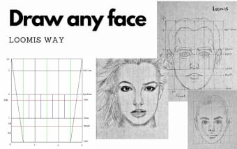 Draw any face - Loomis method