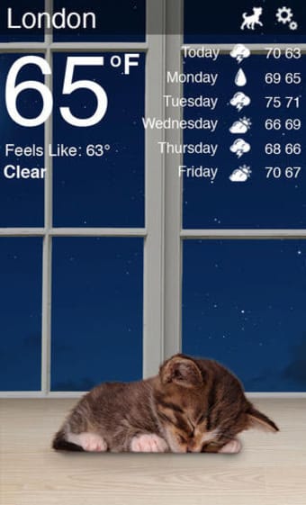 Weather Kitty: Weather  Radar