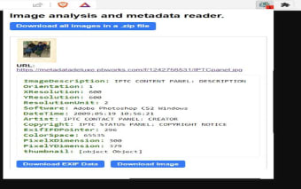 Ripper Web Content | Capture Metadata Content