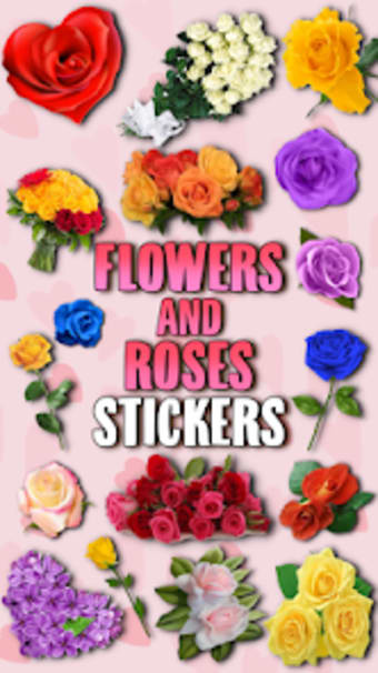 WAstickerApps Flowers and Rose
