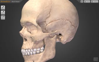 BoneBox - Skull Viewer