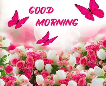 Good Morning Flowers GIF