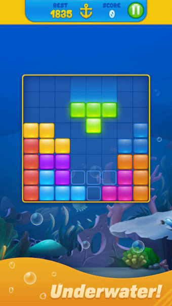 SaveFish Block Puzzle Aquarium