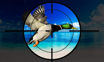 Flying Duck Hunting Shooting Game 2019